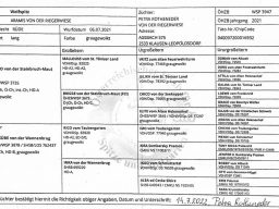 Pedigree Aramis v.d. Riegerwiese